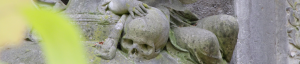 Impressionen aus dem Südfriedhof