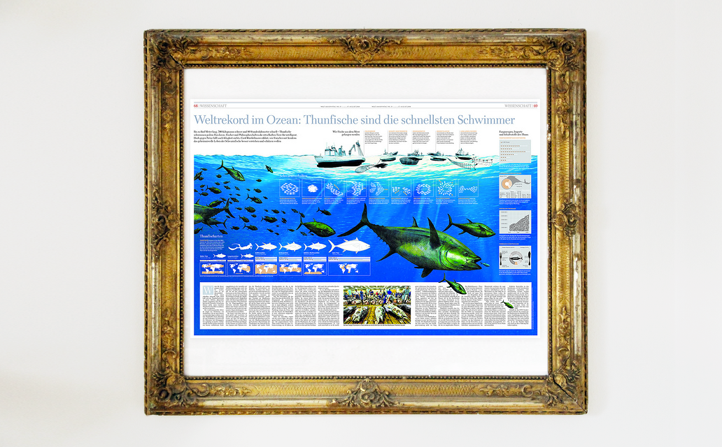 Infografik Workshop: Thunfische