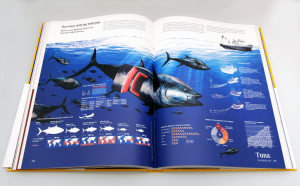 Infografik Workshop: Thunfische