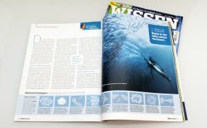Infografik Workshop: Thunfische