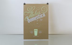 Cheers! Jubiläumskalender 2020