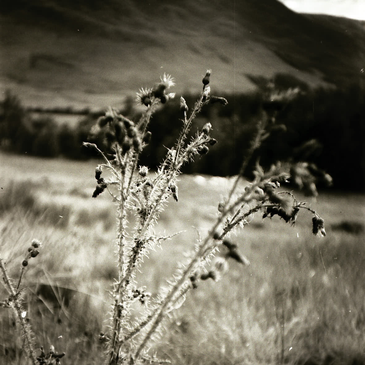 Unterwegs mit der LOMO durch Schottland