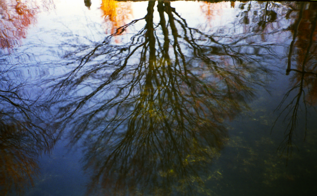 Mit der LOMO in „Nymphenburg“