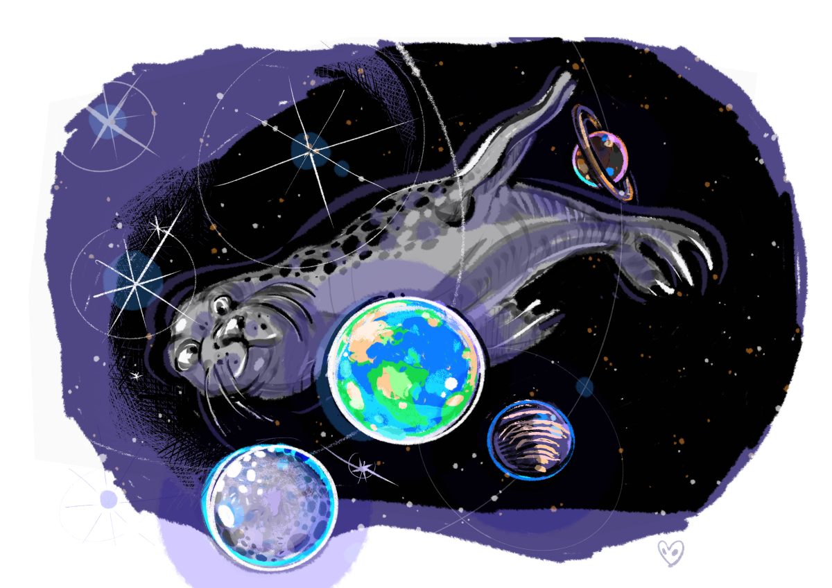 Space-Seal: Storyline 03
