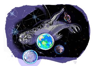 Space-Seal: Storyline 03
