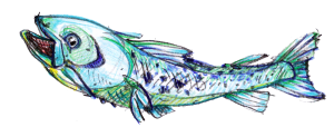 Rezepte ohne Fisch: Kulinarisches Kalendarium 2024