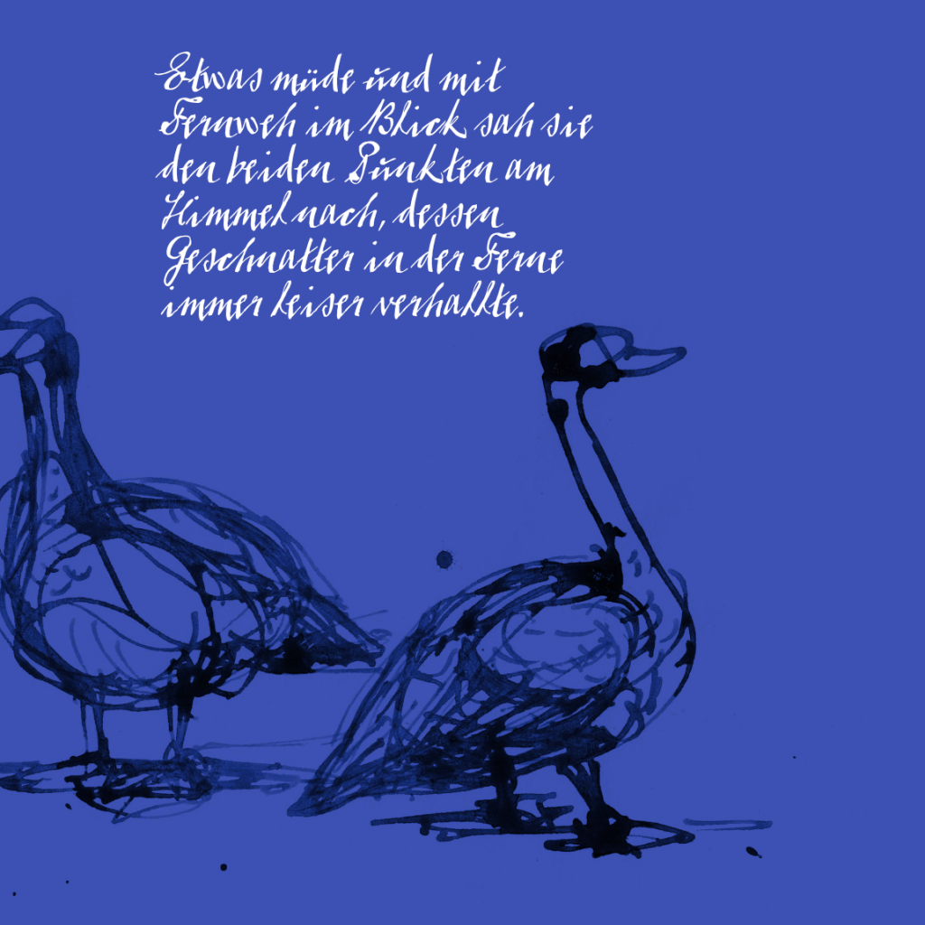 »Das blaue Geheimnis« 
Ein träumerisches Buch, in dem wir die Farbe Blau feiern – zwischen Himmel und Wasser.