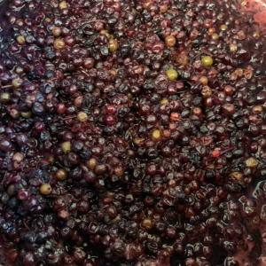Farbpigmente aus Holunderbeeren herstellen