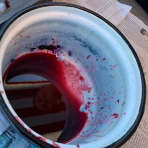 Farbpigmente aus Holunderbeeren herstellen