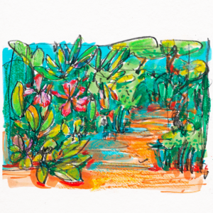 Botanisches Skizzenbuch