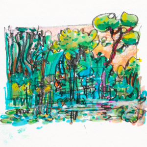 Botanisches Skizzenbuch