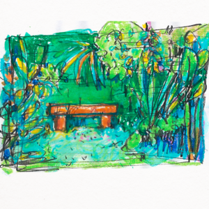 Botanisches Skizzenbuch