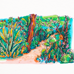 Botanisches Skizzenbuch