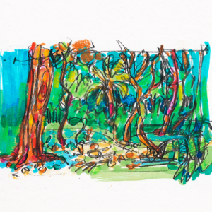 Botanisches Skizzenbuch