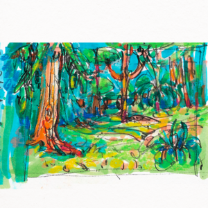 Botanisches Skizzenbuch