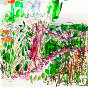 Botanisches Skizzenbuch