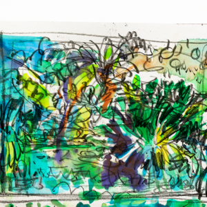 Botanisches Skizzenbuch