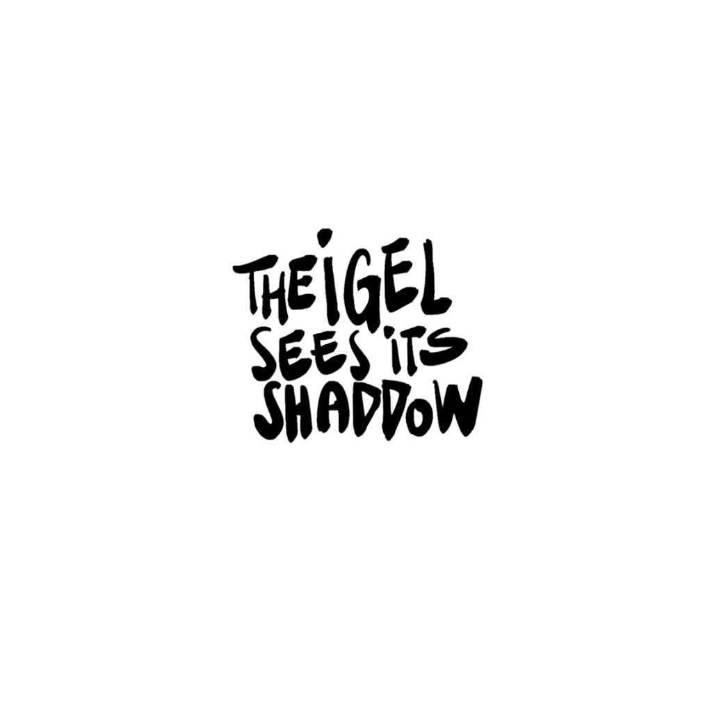 The IGEL sees its shaddow