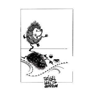 The IGEL sees its shaddow