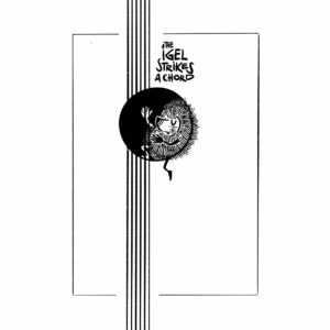 the IGEL hits a chord