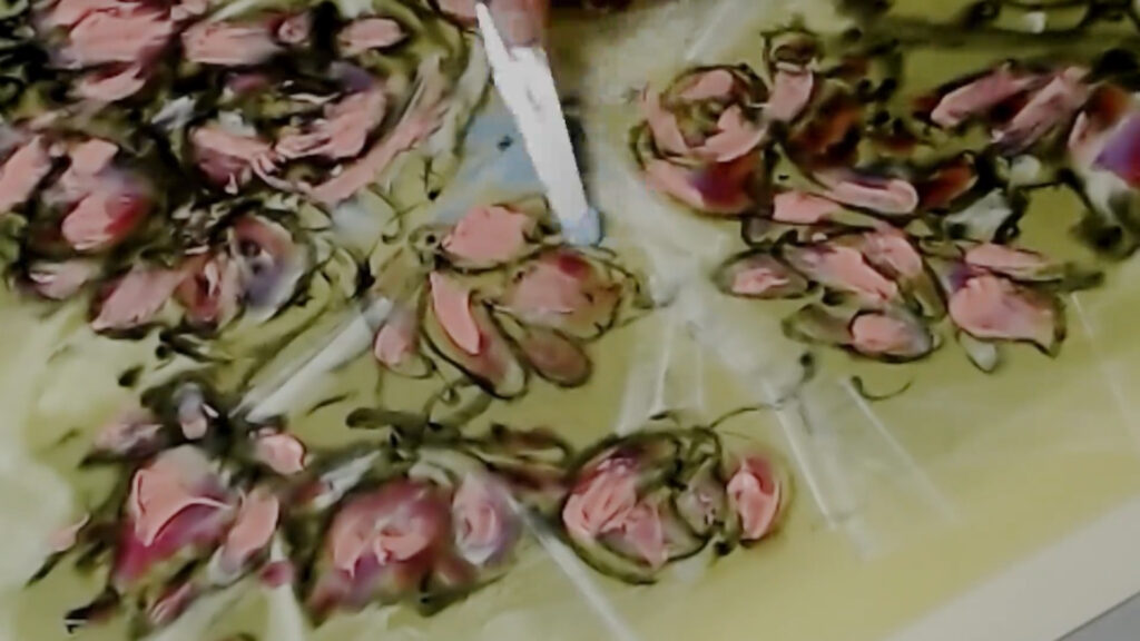 Impression-Prints „Magnolia liliflora“